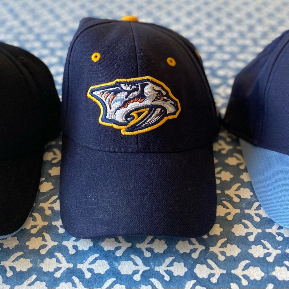 Tennessee Hats (Memphis Grizzlies, Nashville Predators)